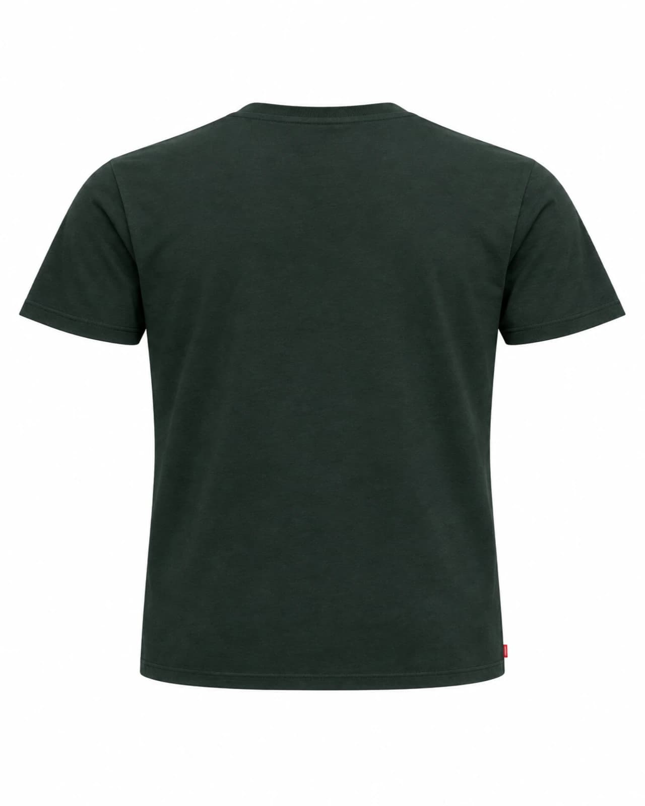 Remera Ramones — Espalda