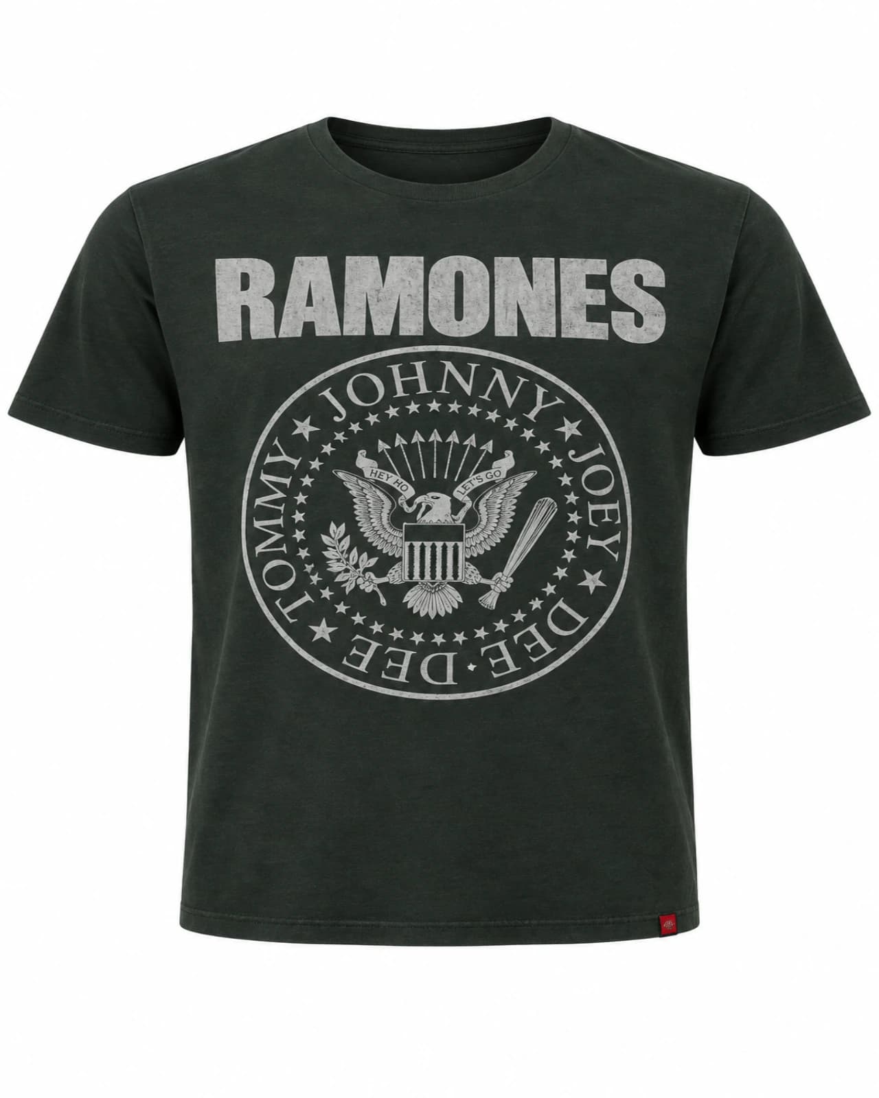 Remera Ramones — Frente