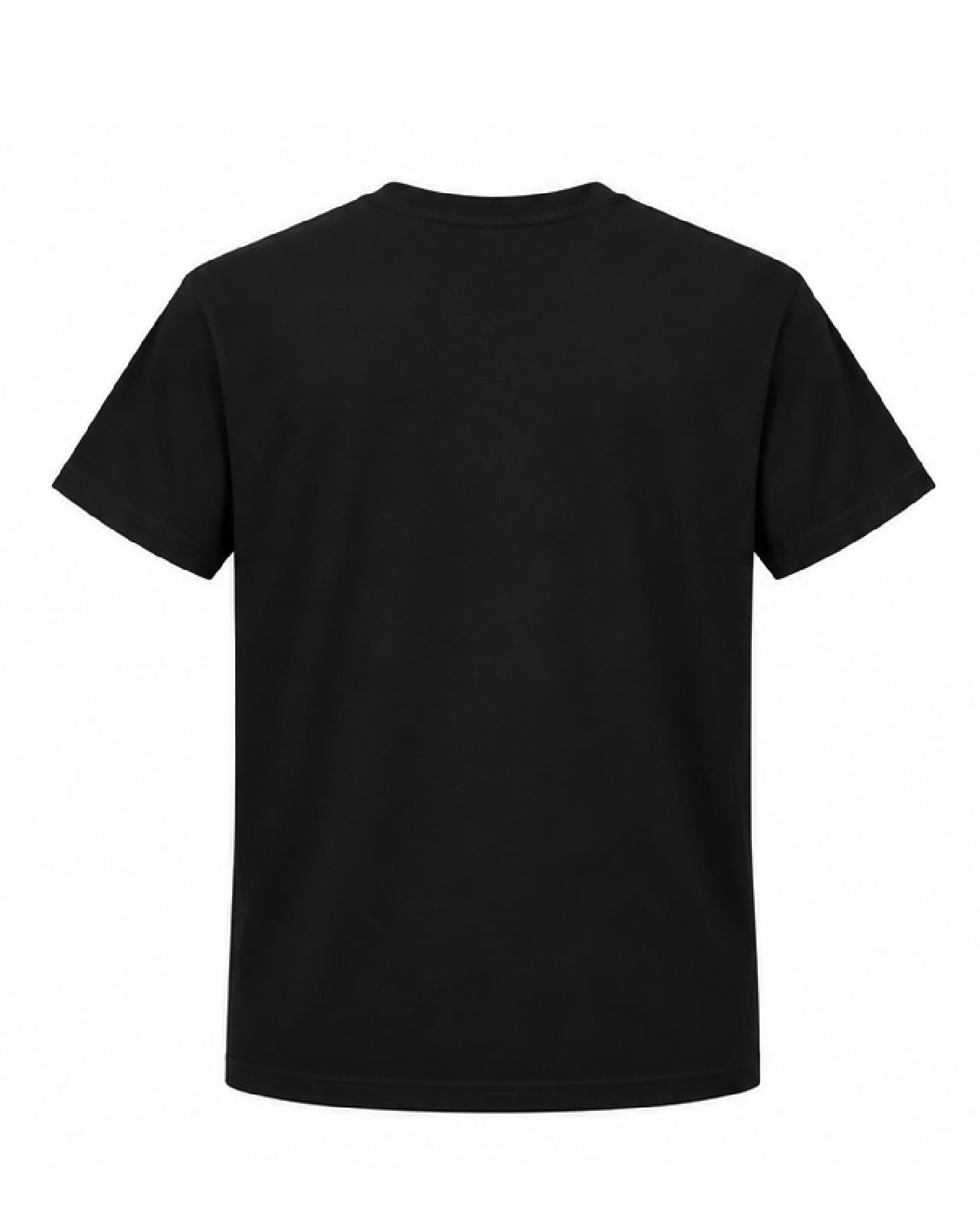 Remera Red Hot Chili Peppers — Espalda